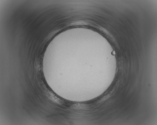 X0000081390929200702090034