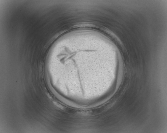 X0000081390937200702090034