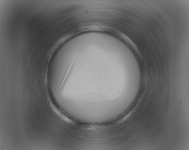 X0000081390938200702090034