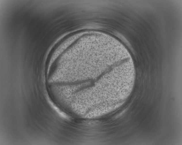 X0000081390939200702090034