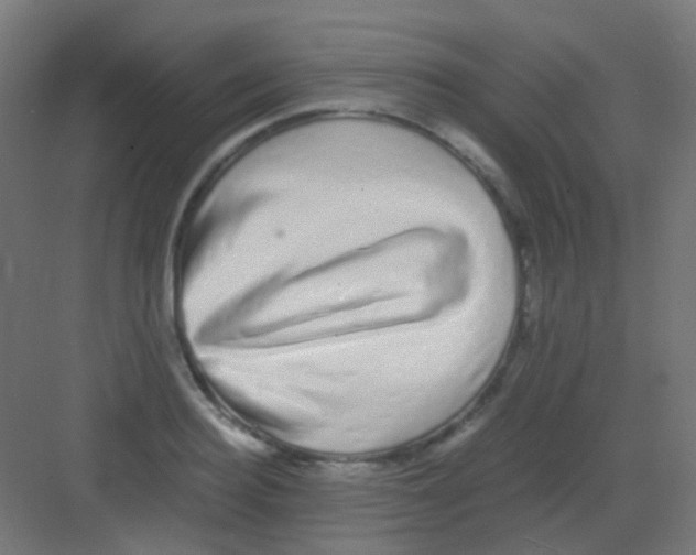 X0000081390940200702090034