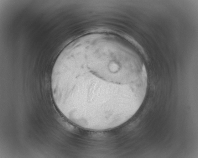 X0000081390945200702090034