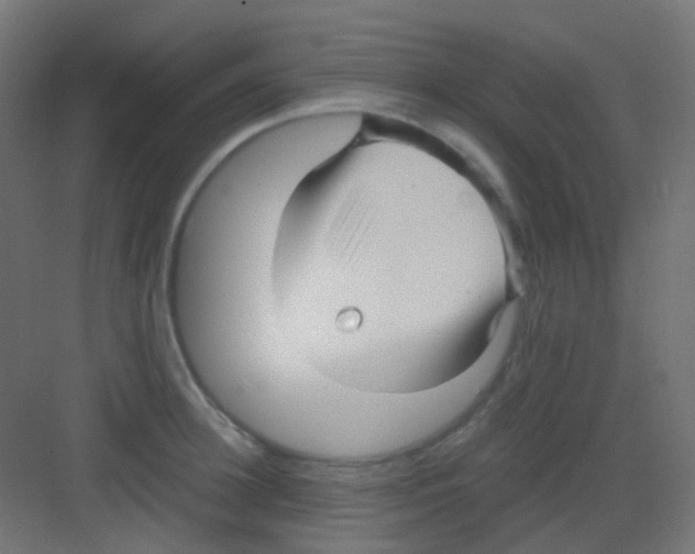 X0000081390948200702090034