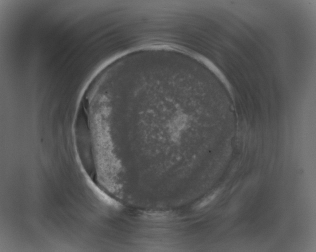 X0000081390951200702090034