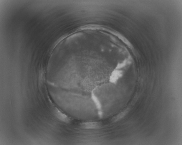 X0000081390953200702090034