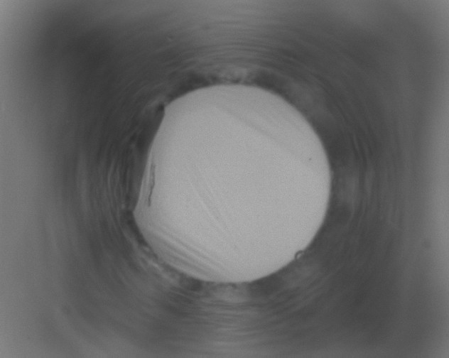 X0000081390962200702090034