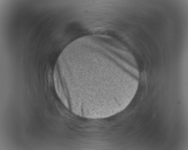 X0000081390963200702090034