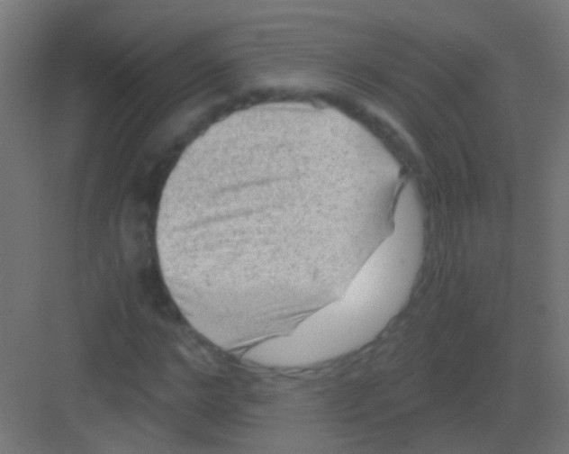 X0000081390968200702090033