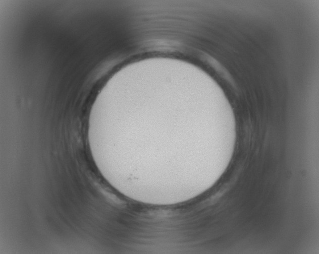 X0000081390970200702090033