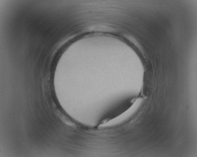 X0000081390971200702090033