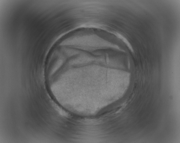 X0000081390976200702090033