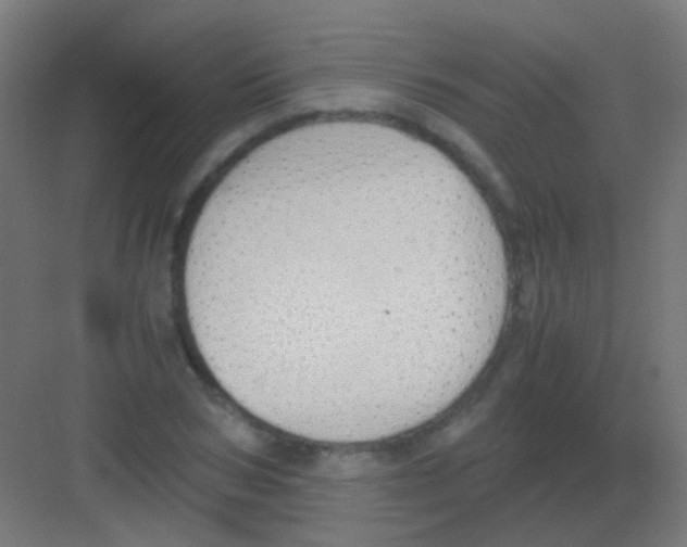 X0000081390978200702090033