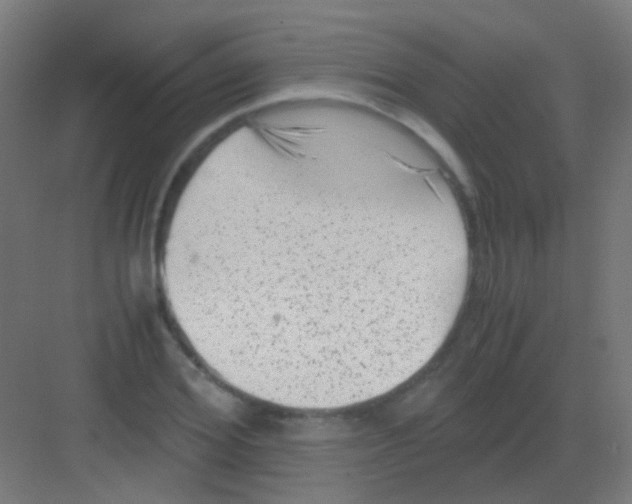 X0000081390980200702090033