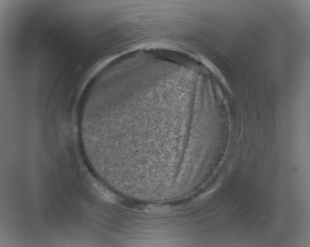 X0000081390981200702090033