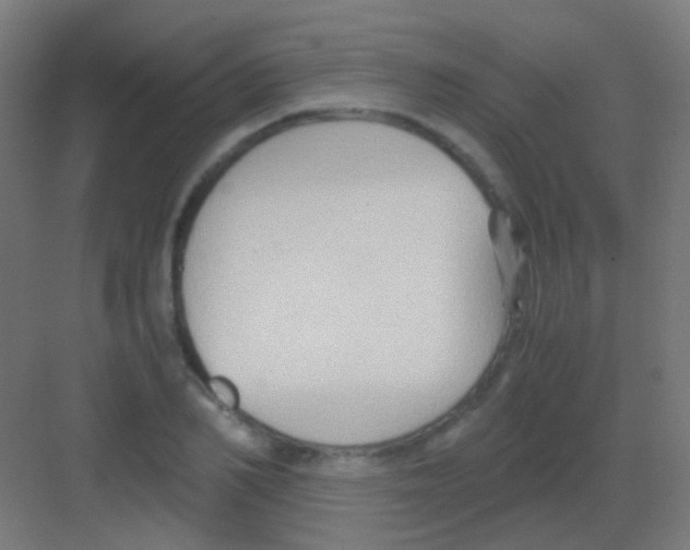 X0000081390982200702090033