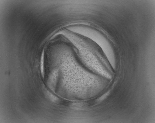 X0000081390985200702090033