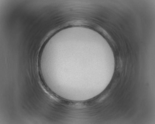 X0000081390986200702090033