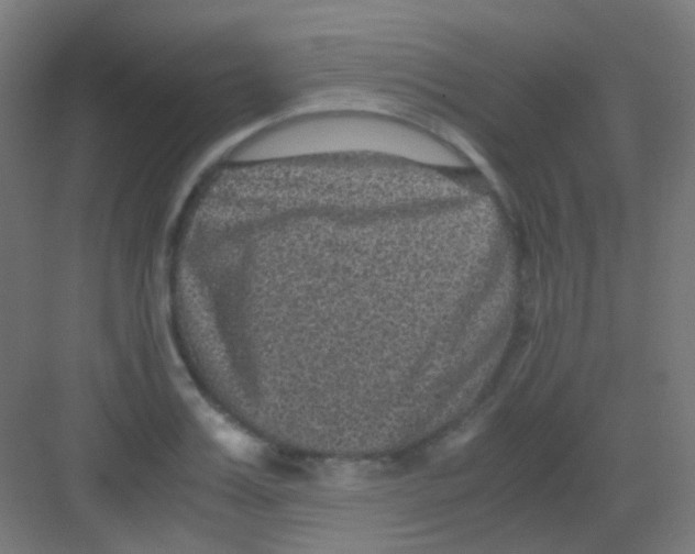 X0000081390987200702090033