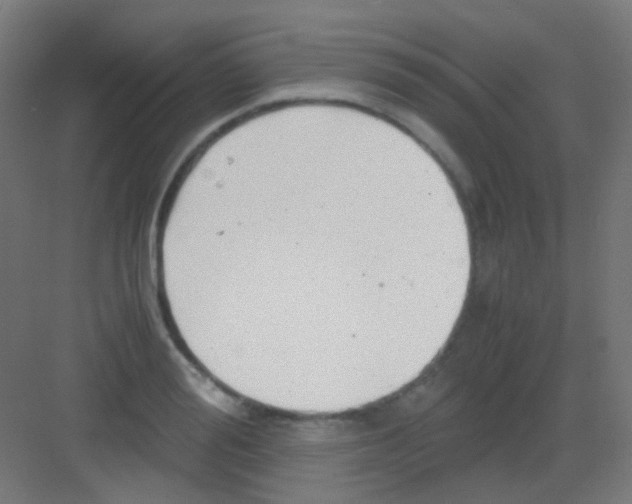 X0000081390988200702090033