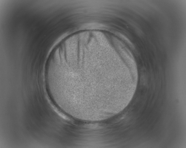 X0000081390990200702090033