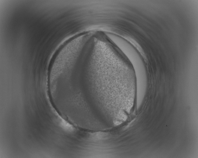 X0000081390992200702090033