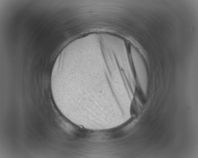 X0000081390993200702090033