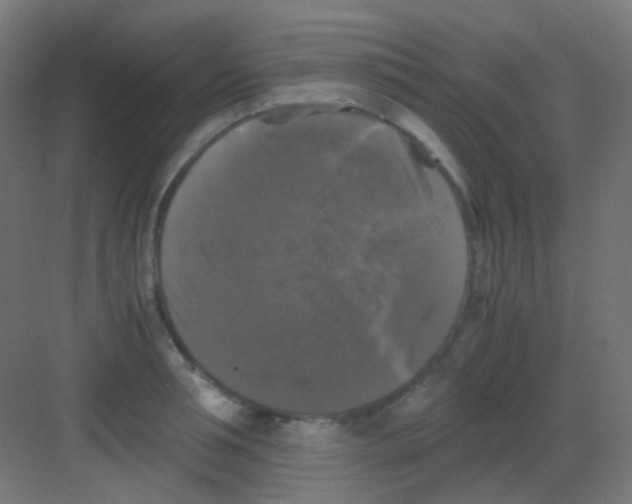 X0000081390994200702090033