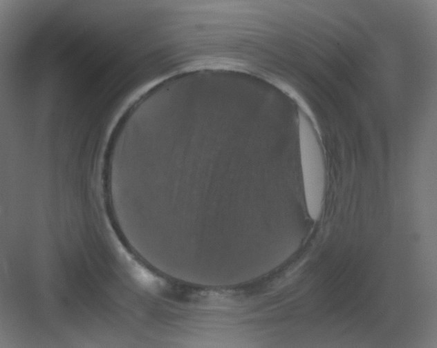 X0000081390995200702090033