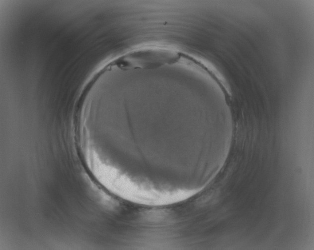 X0000081390998200702090033