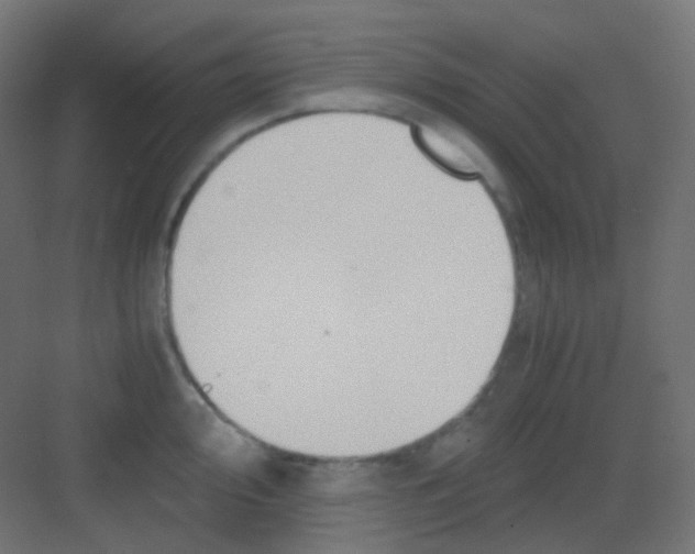 X0000081391000200702090033