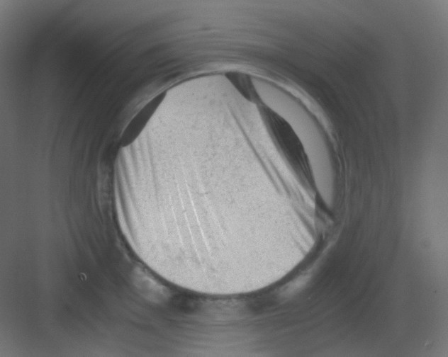 X0000081391001200702090033