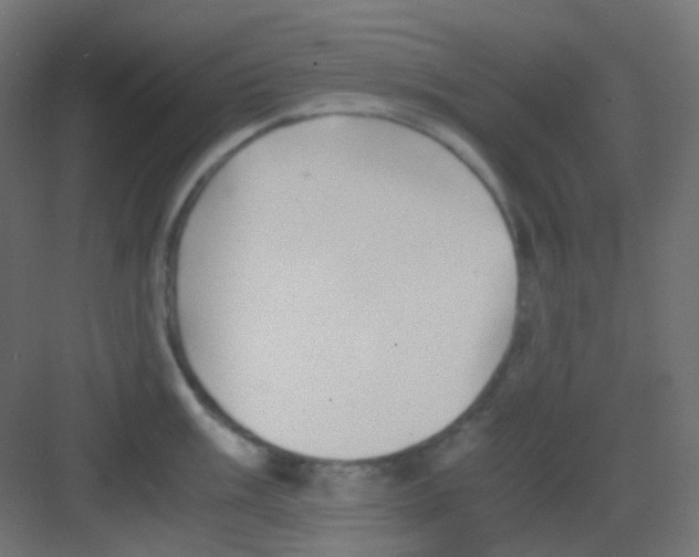 X0000081391003200702090033