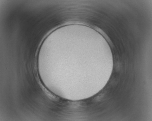 X0000081391004200702090033