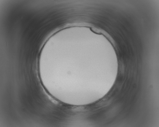 X0000081391006200702090033