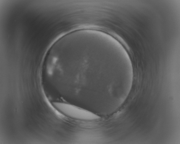 X0000081391007200702090033