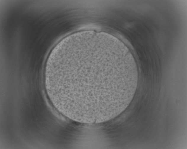 X0000081391008200702090033