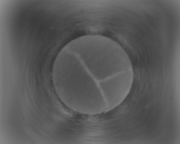 X0000081391009200702090032