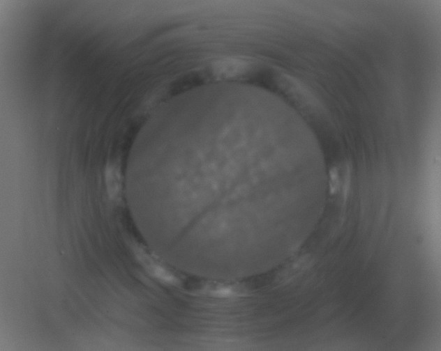 X0000081391011200702090032