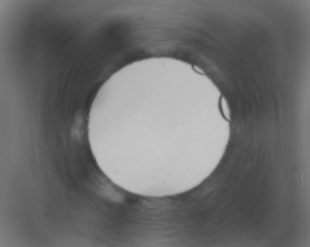 X0000081391012200702090032