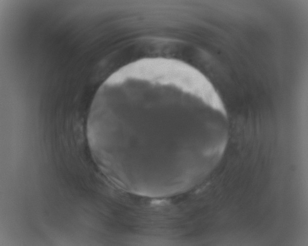 X0000081391013200702090032