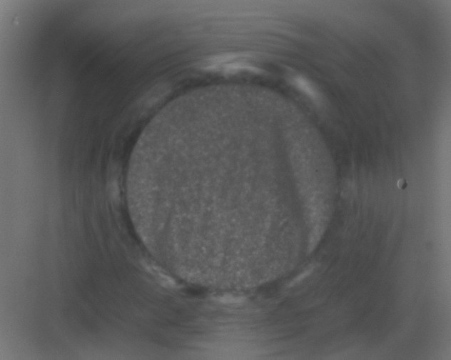 X0000081391014200702090032