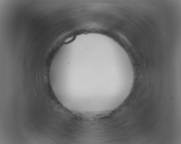 X0000081391016200702090032