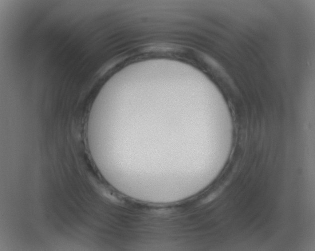 X0000081391017200702090032