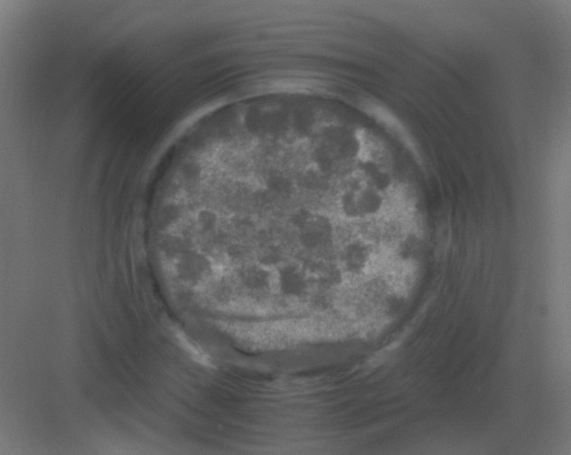 X0000081391019200702090032