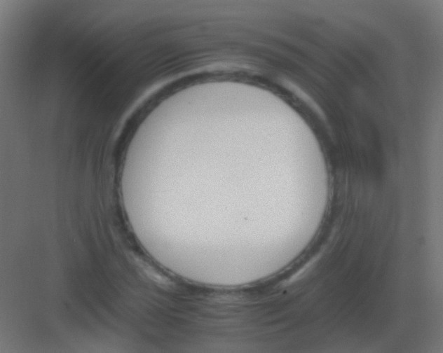 X0000081391021200702090032