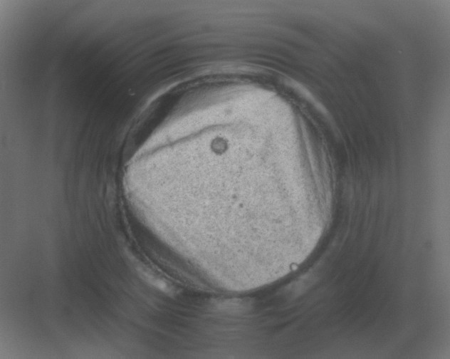 X0000081391025200702090032