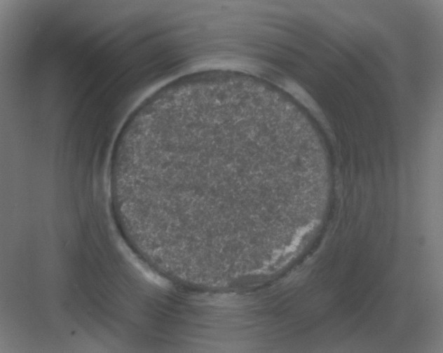 X0000081391028200702090032