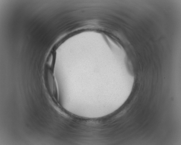 X0000081391029200702090032