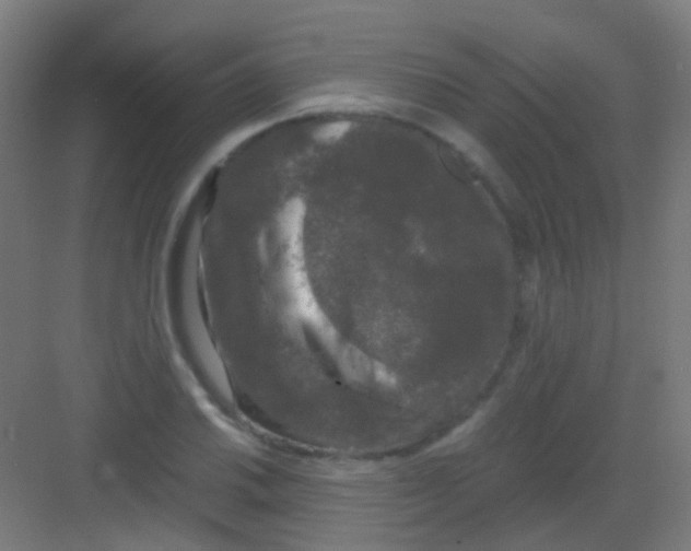 X0000081391030200702090032