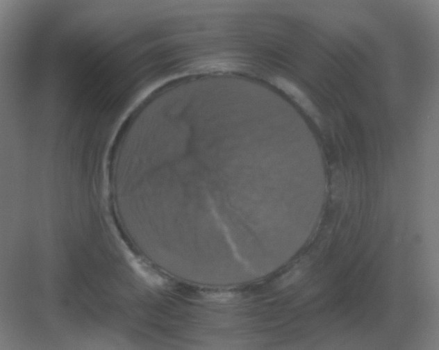 X0000081391031200702090032